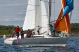 sx panther gbr1974n celerity gbr9296c whyw24 sun 800 5330